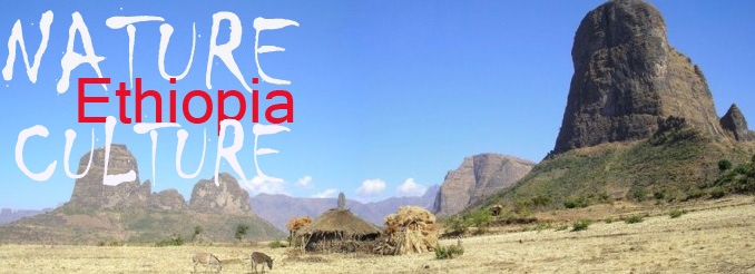 Hiking & Trekking in Ethiopia - Banner