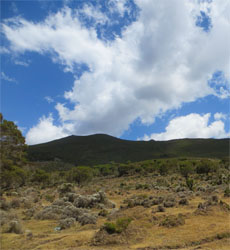 Bale Mountains Ethiopia Tour